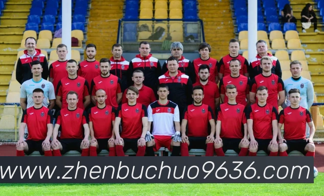 星空(中国)官方网站发展历程